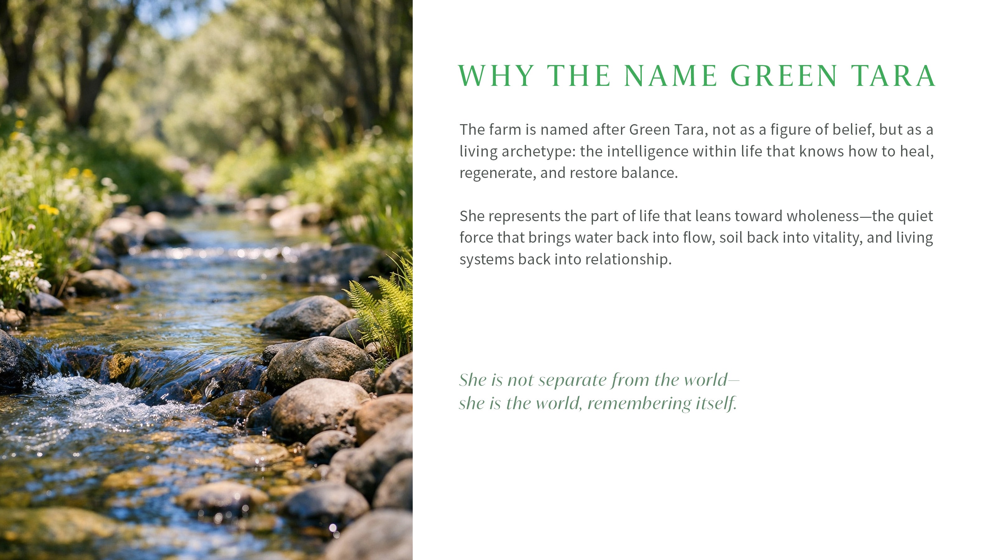 04 — Why the Name Green Tara