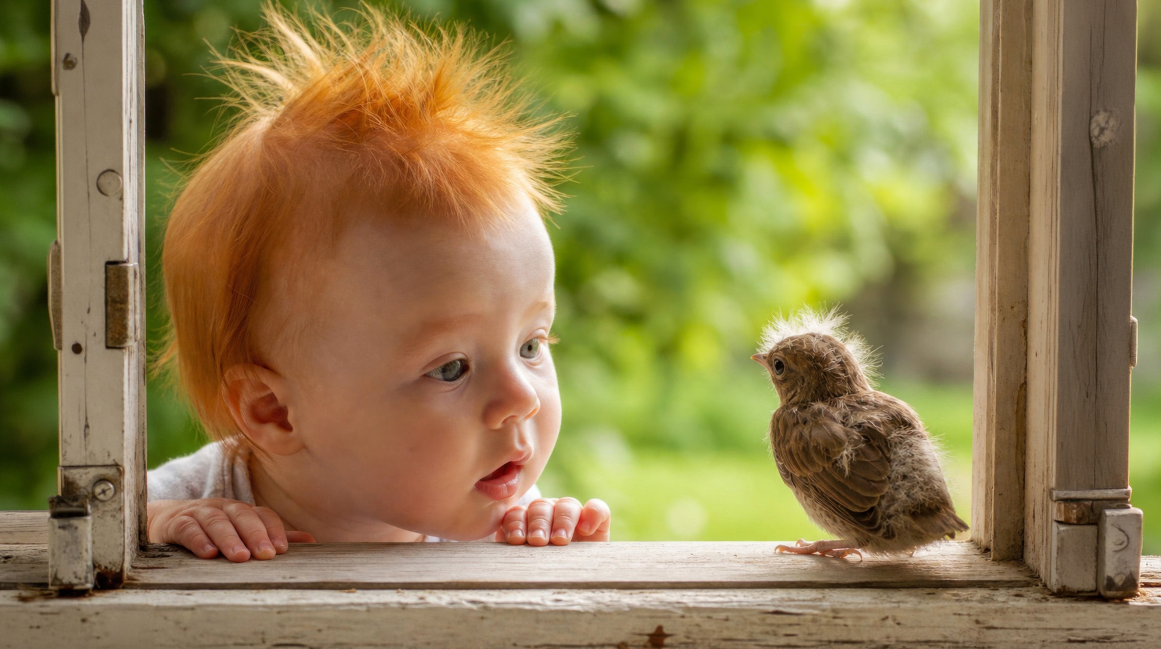 Red-haired baby meeting a small bird at a window