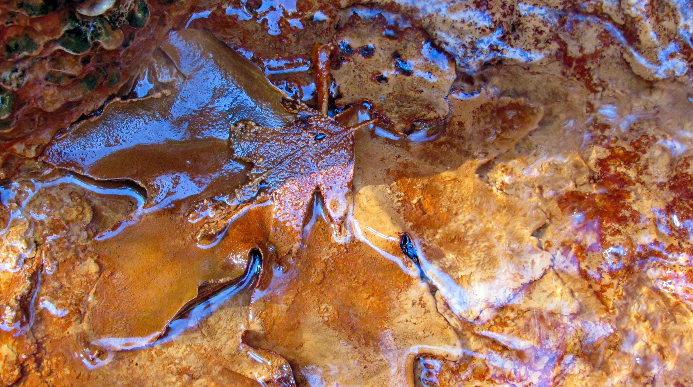 Iron-leaf mineral formation with blue water and rust earth