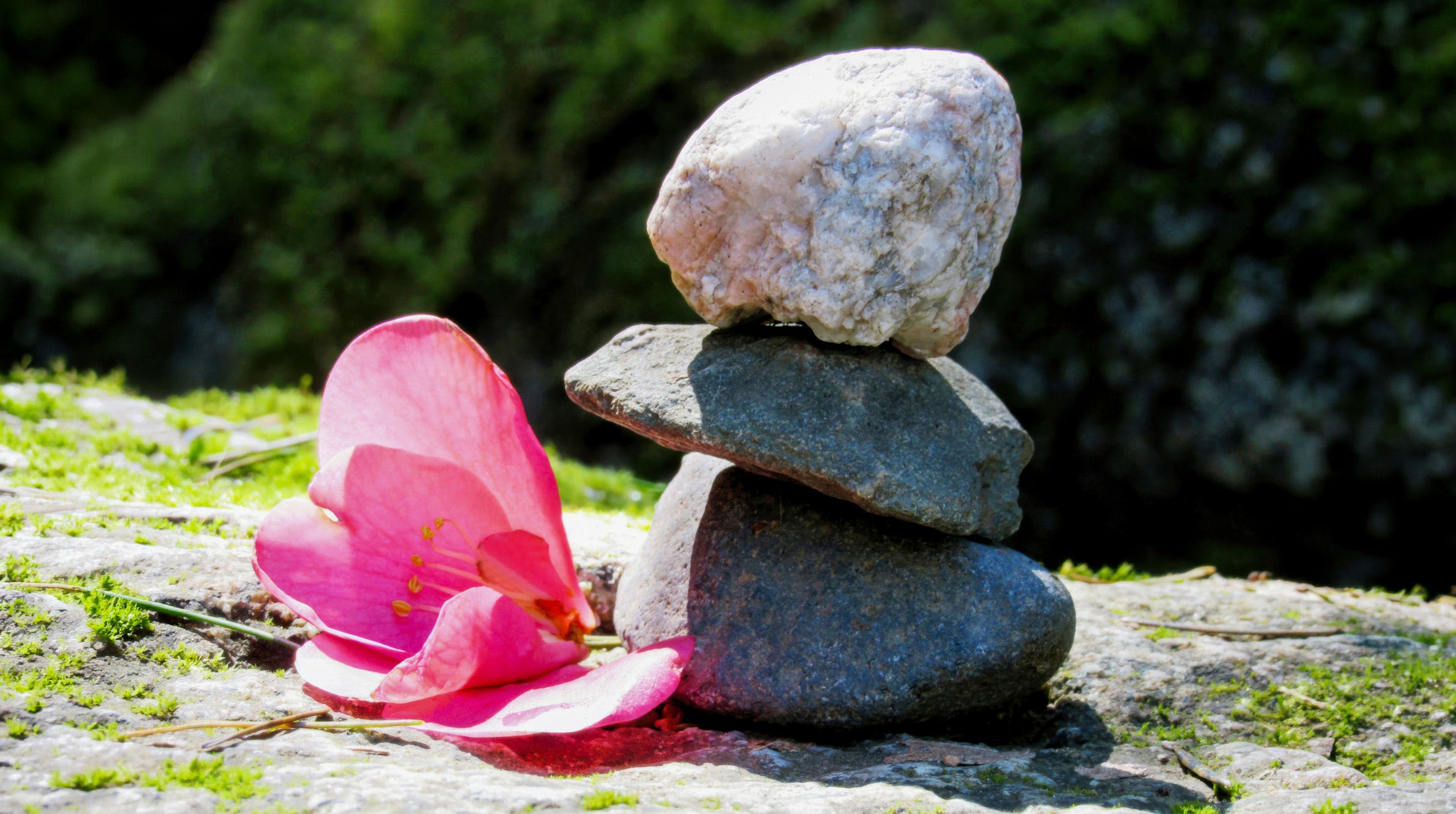 Tiny mountain of stacked stones with pink flower